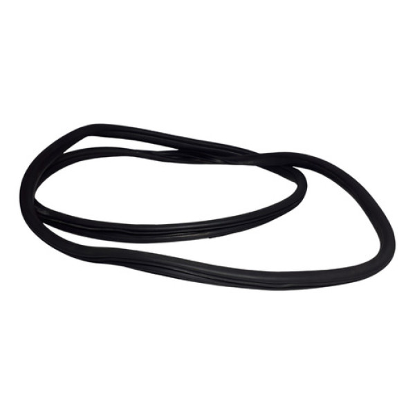 Borracha Porta Hyundai Hb20 2015 Porta Traseira Esquerda 